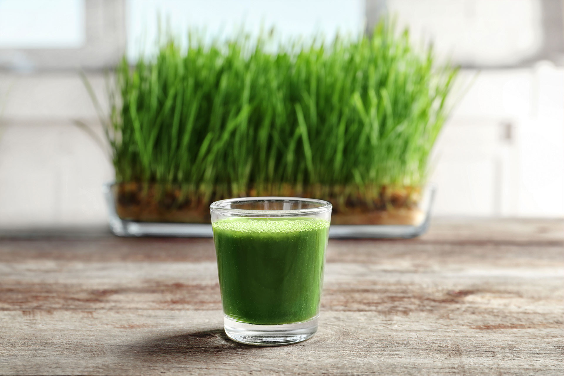 The Benefits of Wheatgrass