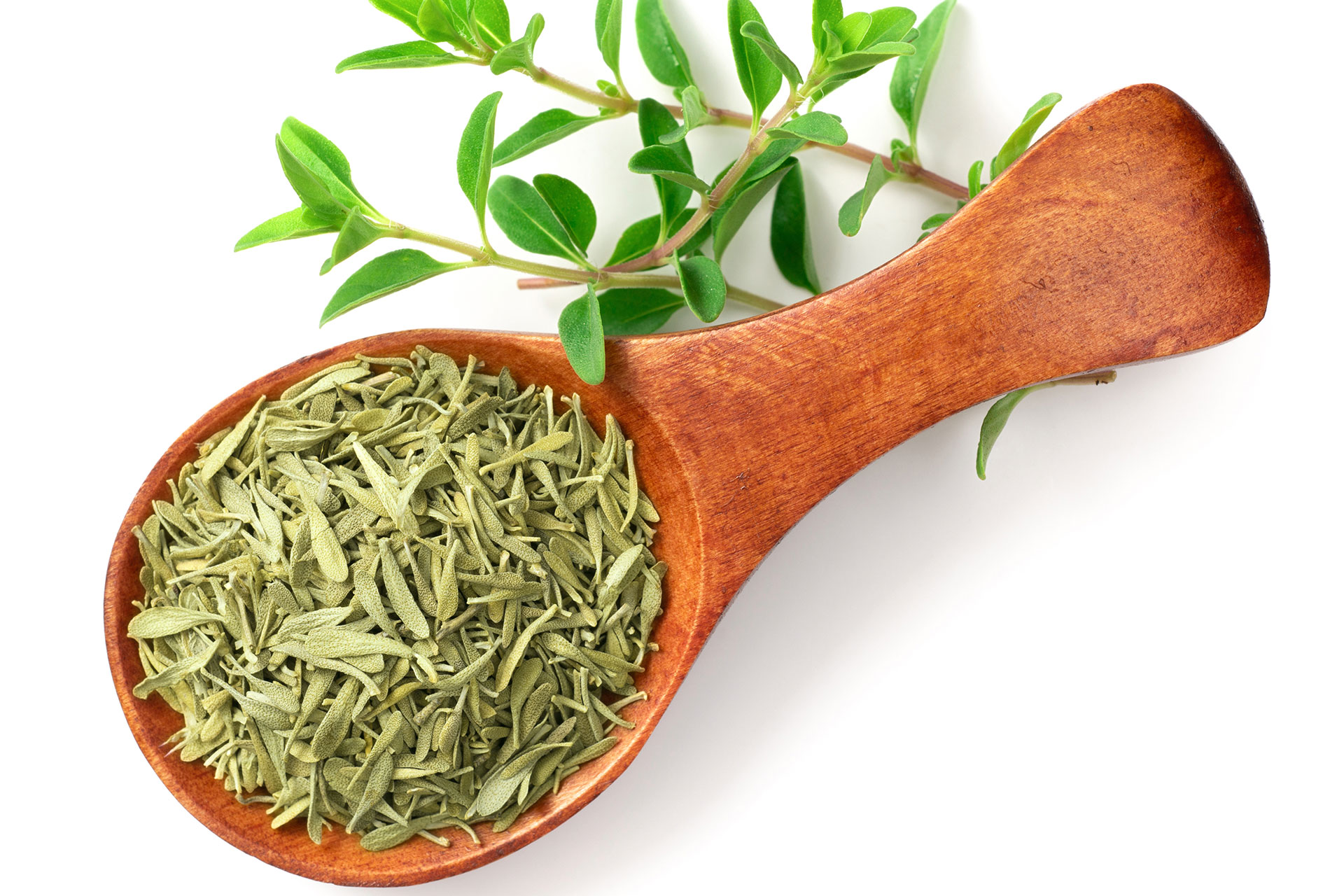 Health Benefits of Thyme